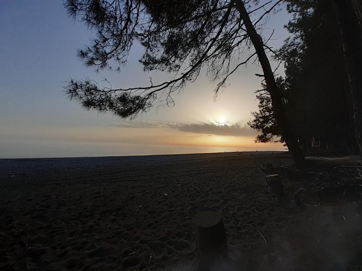 Гостевой дом Guest House Ahan Гагра-23