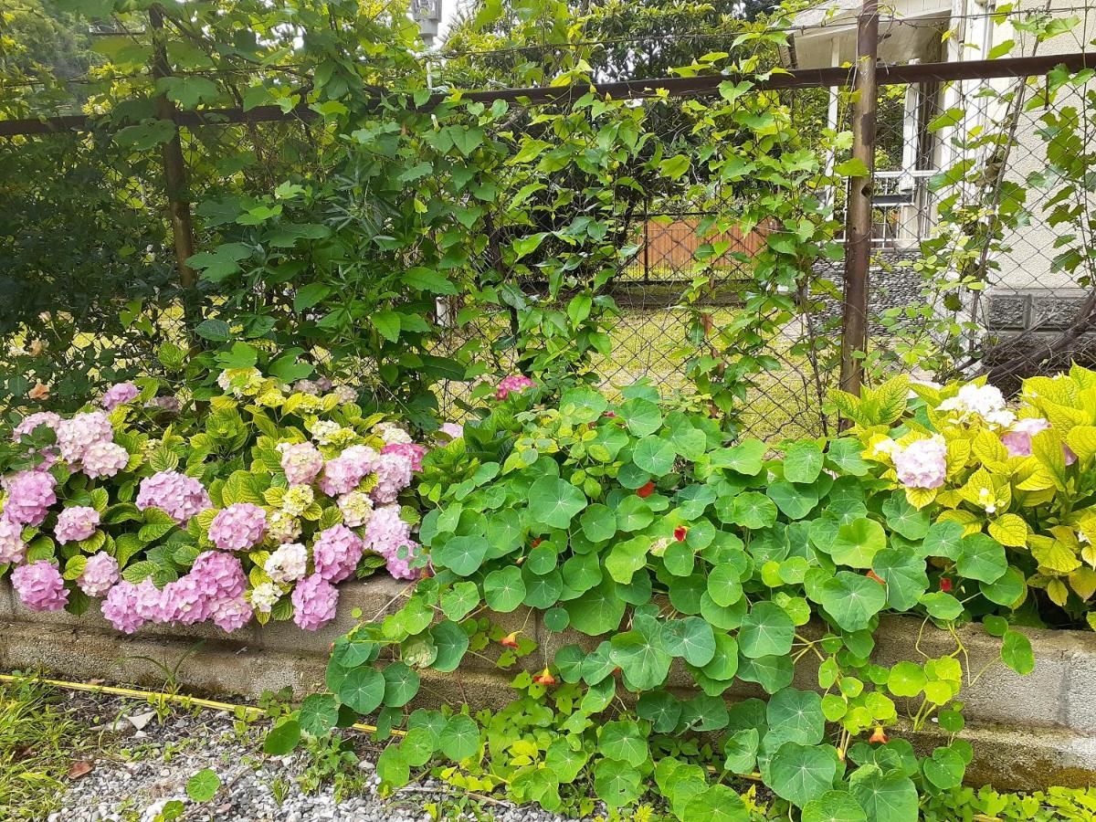 Гостевой дом Guest House Ahan Гагра-25