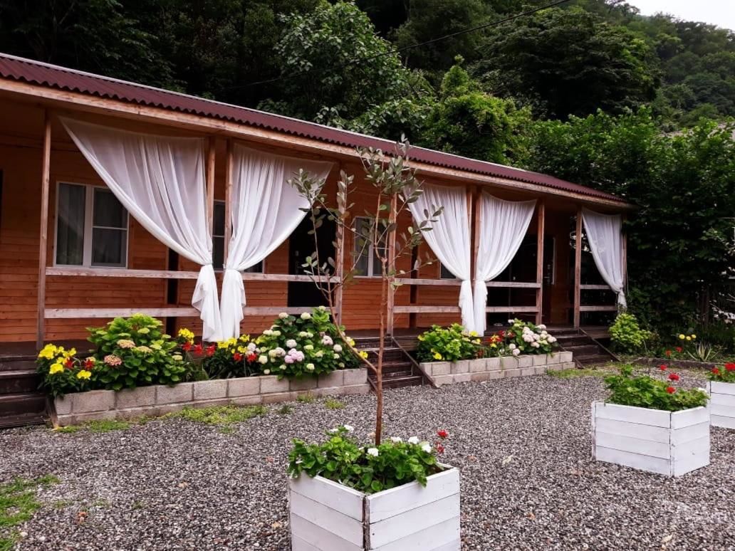 Гостевой дом Guest House Ahan Гагра-29