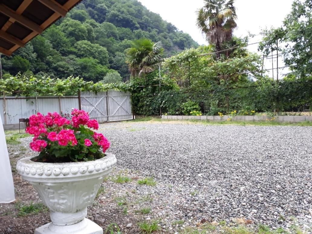 Гостевой дом Guest House Ahan Гагра-32