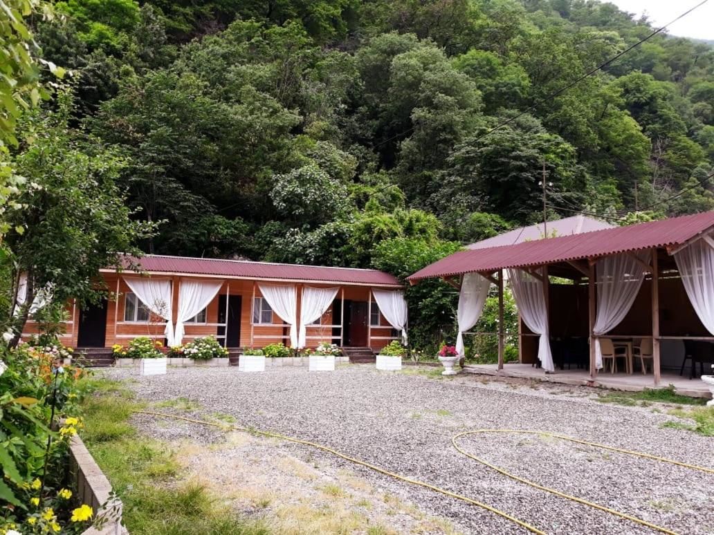 Гостевой дом Guest House Ahan Гагра-35