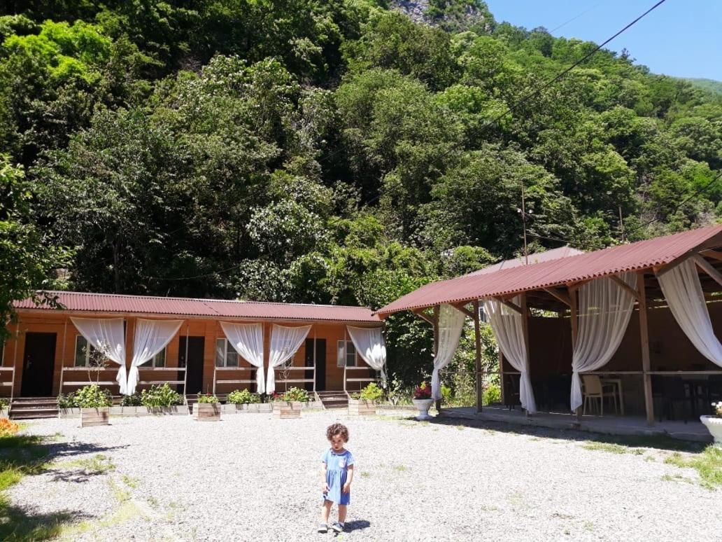 Гостевой дом Guest House Ahan Гагра-42