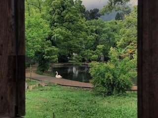 Гостевой дом Guest House Ahan Гагра-2