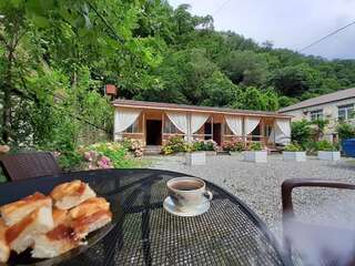 Гостевой дом Guest House Ahan Гагра-3