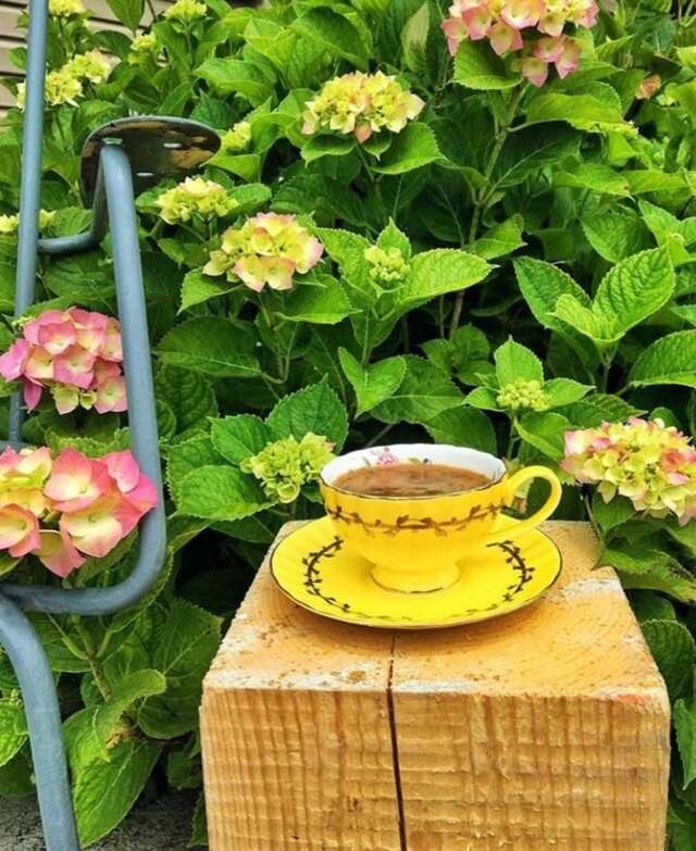 Гостевой дом Guest House Ahan Гагра-26