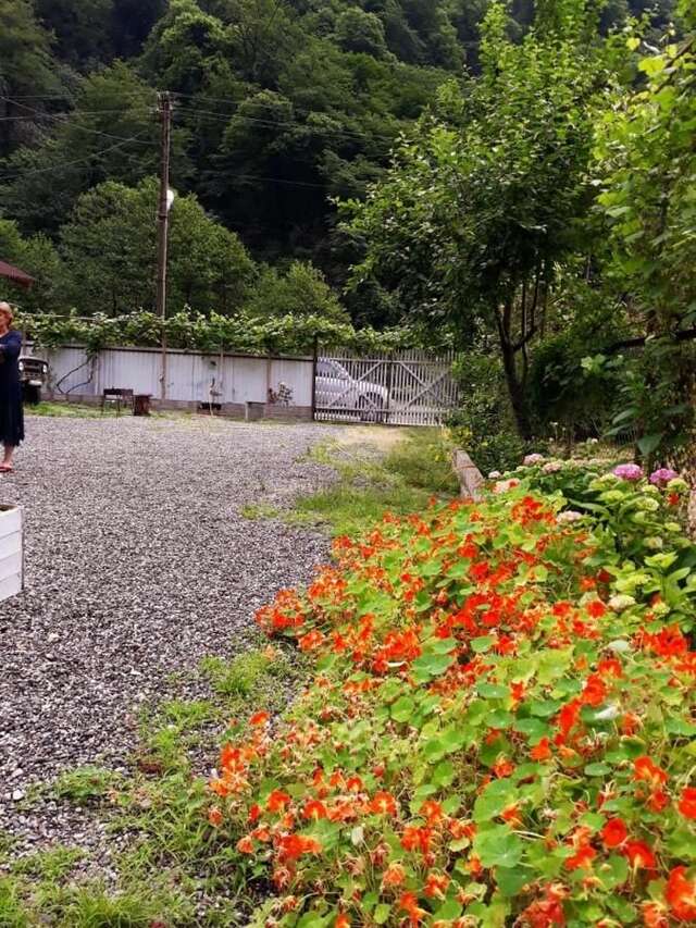 Гостевой дом Guest House Ahan Гагра-30