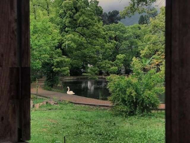 Гостевой дом Guest House Ahan Гагра-5