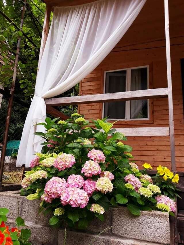 Гостевой дом Guest House Ahan Гагра-37